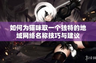 如何為貓咪取一個獨特的地域網(wǎng)絡名稱技巧與建議