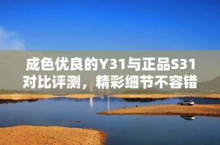成色優(yōu)良的Y31與正品S31對比評測，精彩細節(jié)不容錯過