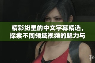 精彩紛呈的中文字幕精選，探索不同領(lǐng)域視頻的魅力與樂趣