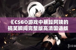 《CSGO游戲中暴躁阿姨的搞笑瞬間完整版高清國(guó)語(yǔ)版》
