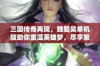 三國(guó)傳奇再現(xiàn)，魏蜀吳單機(jī)版助你重溫英雄夢(mèng)，盡享策略對(duì)決樂(lè)趣