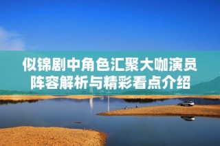 似錦劇中角色匯聚大咖演員陣容解析與精彩看點(diǎn)介紹