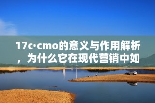 17c·cmo的意義與作用解析，為什么它在現(xiàn)代營銷中如此重要