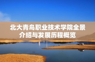 北大青鳥(niǎo)職業(yè)技術(shù)學(xué)院全景介紹與發(fā)展歷程概覽