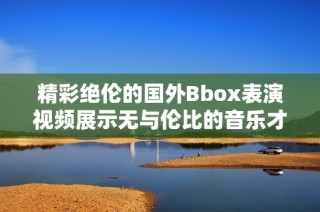精彩絕倫的國(guó)外Bbox表演視頻展示無與倫比的音樂才能與創(chuàng)意