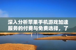 深入分析蘋果手機(jī)游戲加速服務(wù)的付費(fèi)與免費(fèi)選擇，了解各類工具的特點(diǎn)