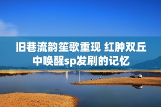 舊巷流韻笙歌重現(xiàn) 紅腫雙丘中喚醒sp發(fā)刷的記憶