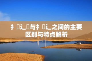 扌喿辶畑與扌喿辶之間的主要區(qū)別與特點解析