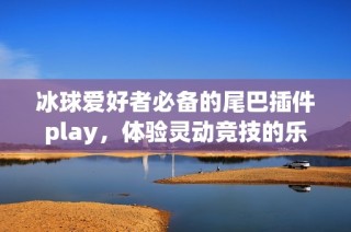 冰球愛好者必備的尾巴插件play，體驗(yàn)靈動(dòng)競(jìng)技的樂趣
