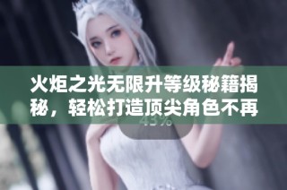 火炬之光無(wú)限升等級(jí)秘籍揭秘，輕松打造頂尖角色不再是夢(mèng)想！