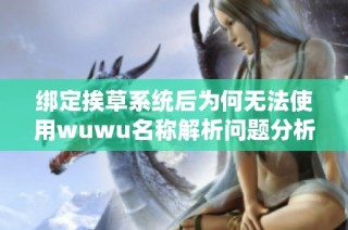 綁定挨草系統(tǒng)后為何無法使用wuwu名稱解析問題分析