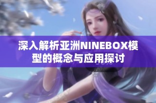 深入解析亞洲NINEBOX模型的概念與應(yīng)用探討