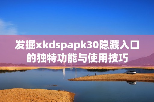 發(fā)掘xkdspapk30隱藏入口的獨(dú)特功能與使用技巧