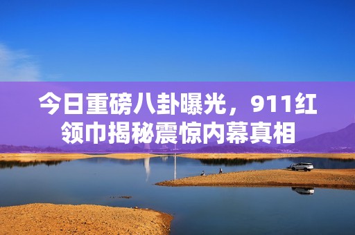 今日重磅八卦曝光，911紅領(lǐng)巾揭秘震驚內(nèi)幕真相