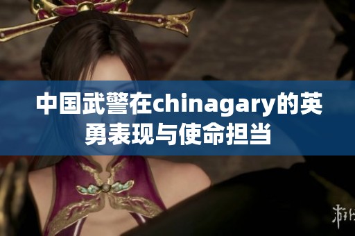 中國武警在chinagary的英勇表現(xiàn)與使命擔(dān)當(dāng)