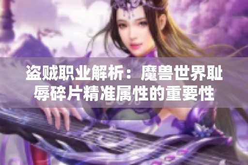 盜賊職業(yè)解析：魔獸世界恥辱碎片精準(zhǔn)屬性的重要性
