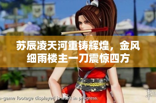 蘇辰凌天河重鑄輝煌，金風(fēng)細(xì)雨樓主一刀震驚四方