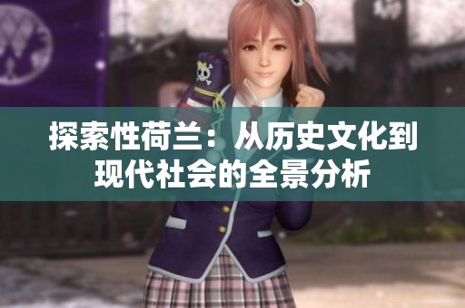 探索性荷蘭：從歷史文化到現(xiàn)代社會(huì)的全景分析