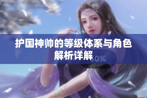 護國神帥的等級體系與角色解析詳解