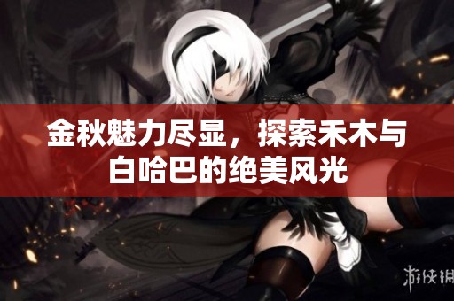 金秋魅力盡顯，探索禾木與白哈巴的絕美風(fēng)光