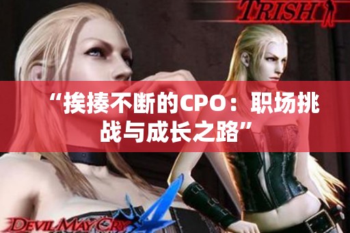 “挨揍不斷的CPO：職場挑戰(zhàn)與成長之路”