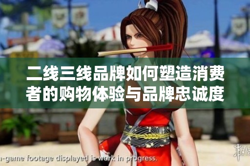 二線三線品牌如何塑造消費(fèi)者的購(gòu)物體驗(yàn)與品牌忠誠(chéng)度