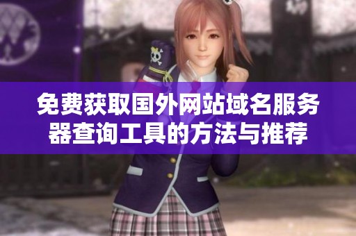 免費(fèi)獲取國(guó)外網(wǎng)站域名服務(wù)器查詢(xún)工具的方法與推薦