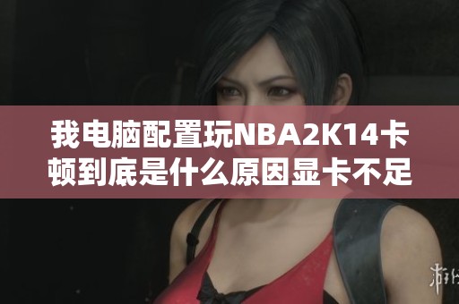 我電腦配置玩NBA2K14卡頓到底是什么原因顯卡不足嗎