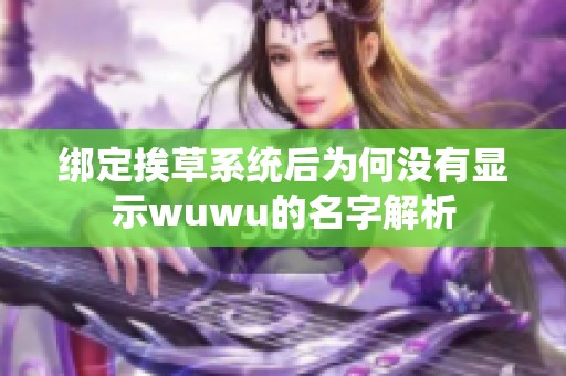 綁定挨草系統(tǒng)后為何沒有顯示wuwu的名字解析