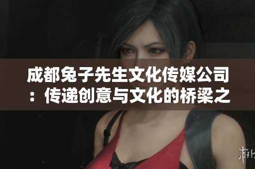 成都兔子先生文化傳媒公司：傳遞創(chuàng)意與文化的橋梁之路