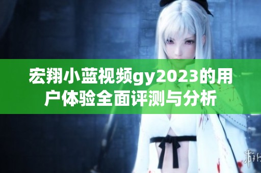 宏翔小藍(lán)視頻gy2023的用戶體驗全面評測與分析