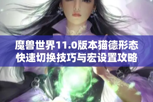 魔獸世界11.0版本貓德形態(tài)快速切換技巧與宏設(shè)置攻略