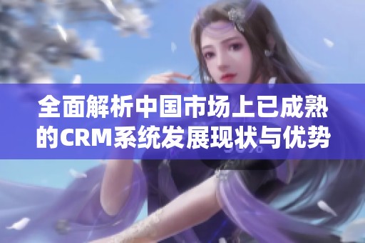 全面解析中國市場上已成熟的CRM系統(tǒng)發(fā)展現(xiàn)狀與優(yōu)勢
