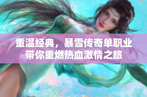 重溫經(jīng)典，暴雪傳奇單職業(yè)帶你重燃熱血激情之旅
