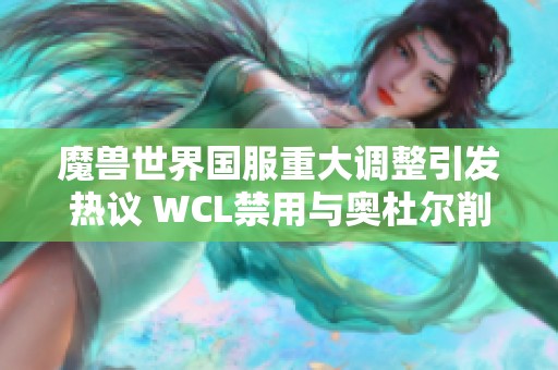 魔獸世界國服重大調整引發(fā)熱議 WCL禁用與奧杜爾削弱備受關注
