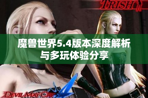 魔獸世界5.4版本深度解析與多玩體驗(yàn)分享