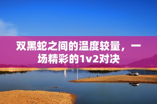 雙黑蛇之間的溫度較量，一場精彩的1v2對決