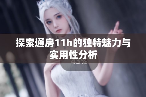 探索通房11h的獨特魅力與實用性分析