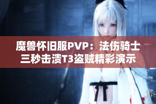 魔獸懷舊服PVP：法傷騎士三秒擊潰T3盜賊精彩演示