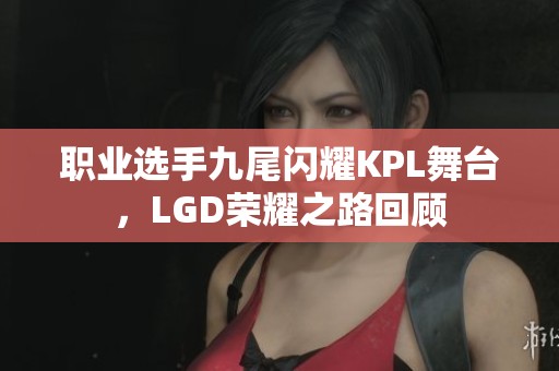 職業(yè)選手九尾閃耀KPL舞臺，LGD榮耀之路回顧