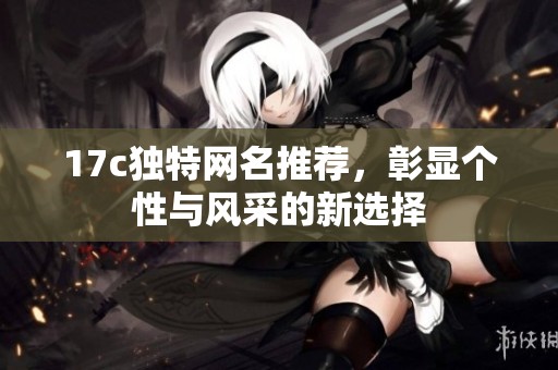 17c獨(dú)特網(wǎng)名推薦，彰顯個(gè)性與風(fēng)采的新選擇