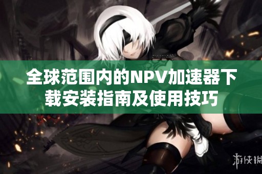 全球范圍內(nèi)的NPV加速器下載安裝指南及使用技巧
