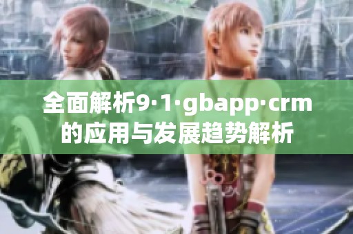 全面解析9·1·gbapp·crm的應用與發(fā)展趨勢解析