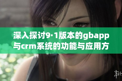 深入探討9·1版本的gbapp與crm系統(tǒng)的功能與應用方案