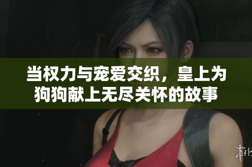 當(dāng)權(quán)力與寵愛交織，皇上為狗狗獻(xiàn)上無盡關(guān)懷的故事