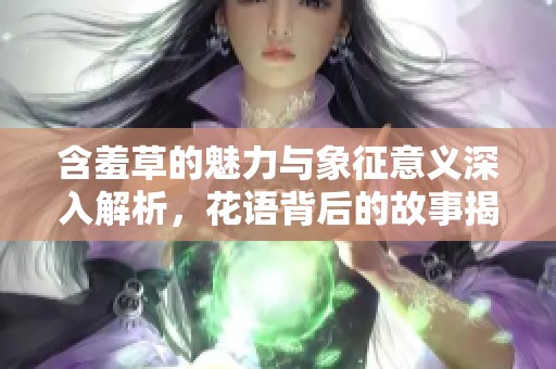 含羞草的魅力與象征意義深入解析，花語背后的故事揭曉