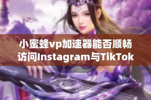 小蜜蜂vp加速器能否順暢訪問(wèn)Instagram與TikTok的解析與指南