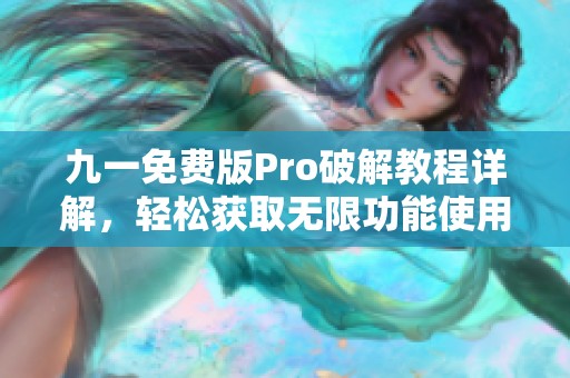 九一免費(fèi)版Pro破解教程詳解，輕松獲取無限功能使用權(quán)限