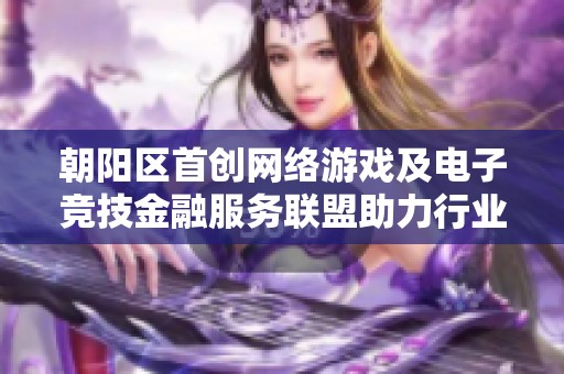 朝陽區(qū)首創(chuàng)網(wǎng)絡(luò)游戲及電子競技金融服務(wù)聯(lián)盟助力行業(yè)發(fā)展