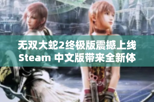 無(wú)雙大蛇2終極版震撼上線Steam 中文版帶來(lái)全新體驗(yàn)！